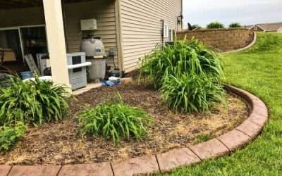 How Landscape Edging Will Elevate Your Yard