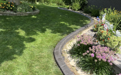 How Concrete Edging Increases Your Property Value