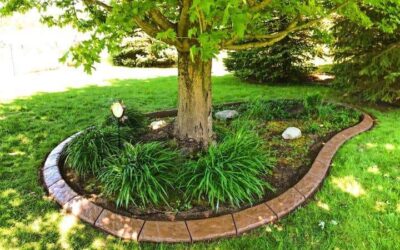 How Much Does Landscape Curbing Cost in 2026? Price Guide and Budget Planning for Michigan Homeowners