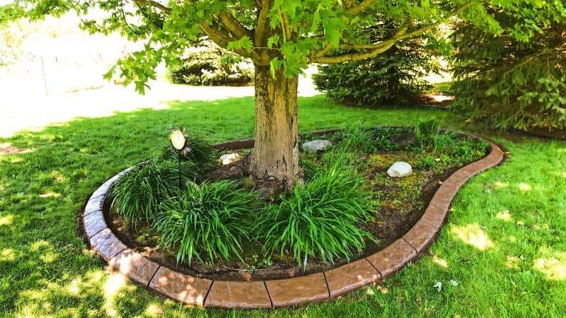 How Much Does Landscape Curbing Cost in 2026? Price Guide and Budget Planning for Michigan Homeowners