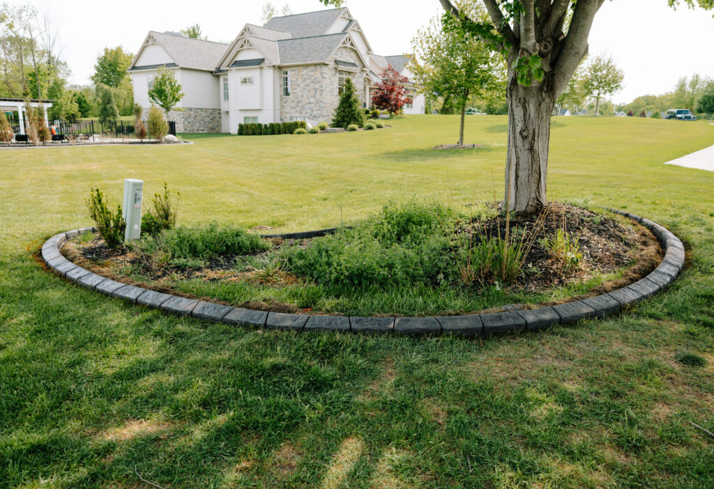tree ring curbing